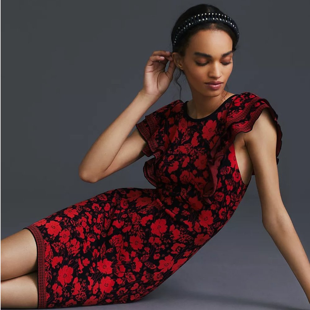 Eva Franco Red and Black Floral Mini Dress